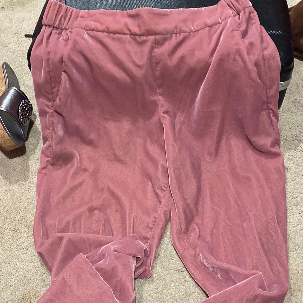 J crew sweat pants